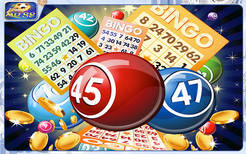 Lý do nhiều bet thủ chọn xổ số Mu88 đặt niềm tin