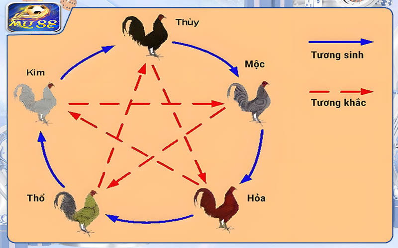 Mẹo xem ngày chiến kê ra trận theo ngũ hành